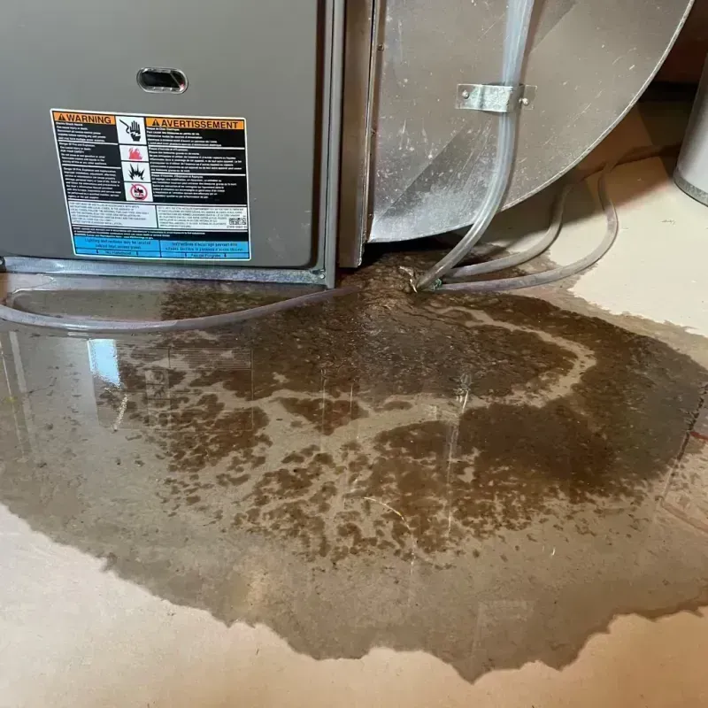 Appliance Leak Cleanup in Central Garage, VA