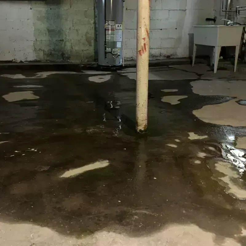 Emergency Water Extraction And Removal in Central Garage, VA